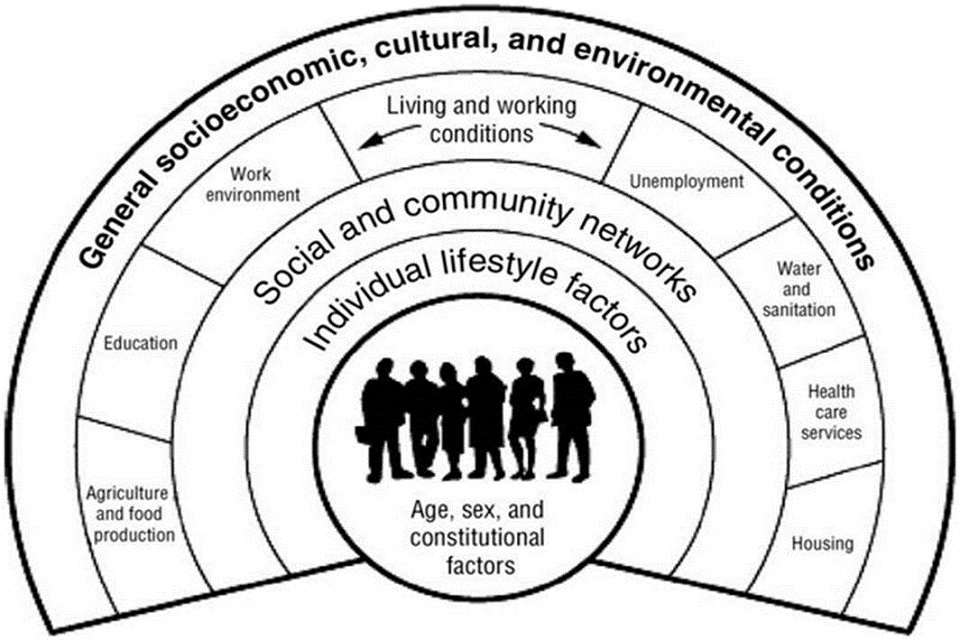 Figure 1. The Dahlgren and Whitehead model of health determinants