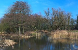 Wetlands biomass (photo courtesy of Colin https://www.flickr.com/photos/colinsd40/)