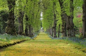 The grounds at Hillsborough Castle