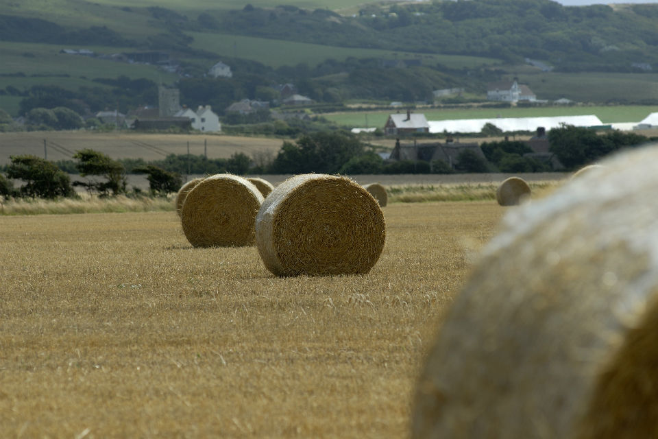 Support for farmers to boost their resilience to severe weather