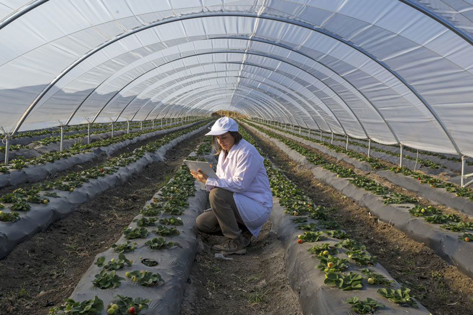 World agri-tech summit: businesses pitch for investment funds