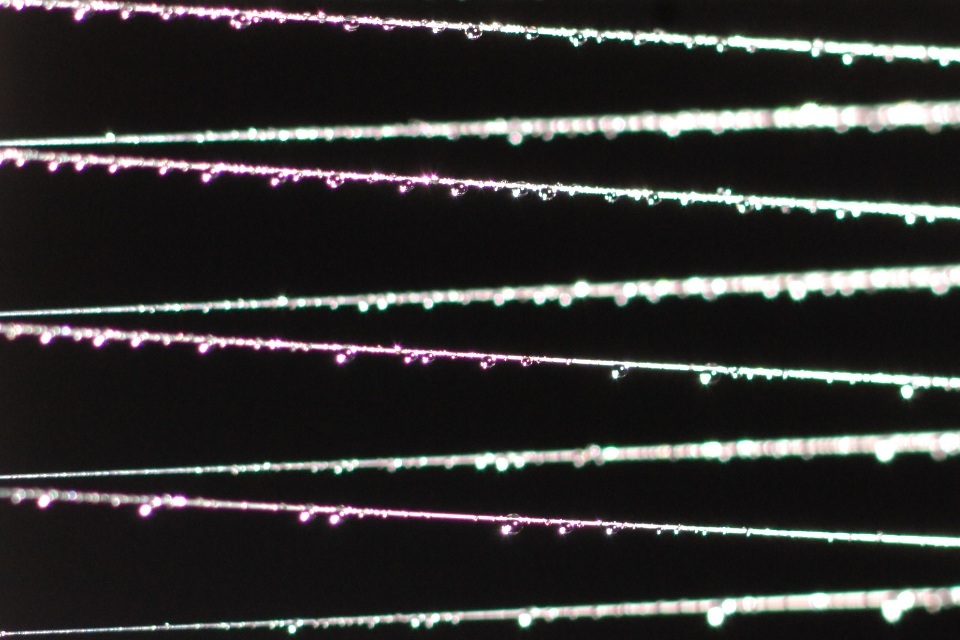 Spooky spider science