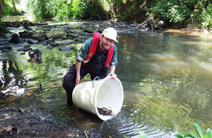 Fish being released