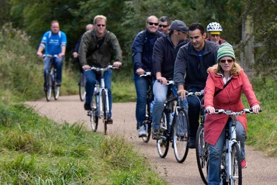 Decision on New Forest Cycling Ambition project