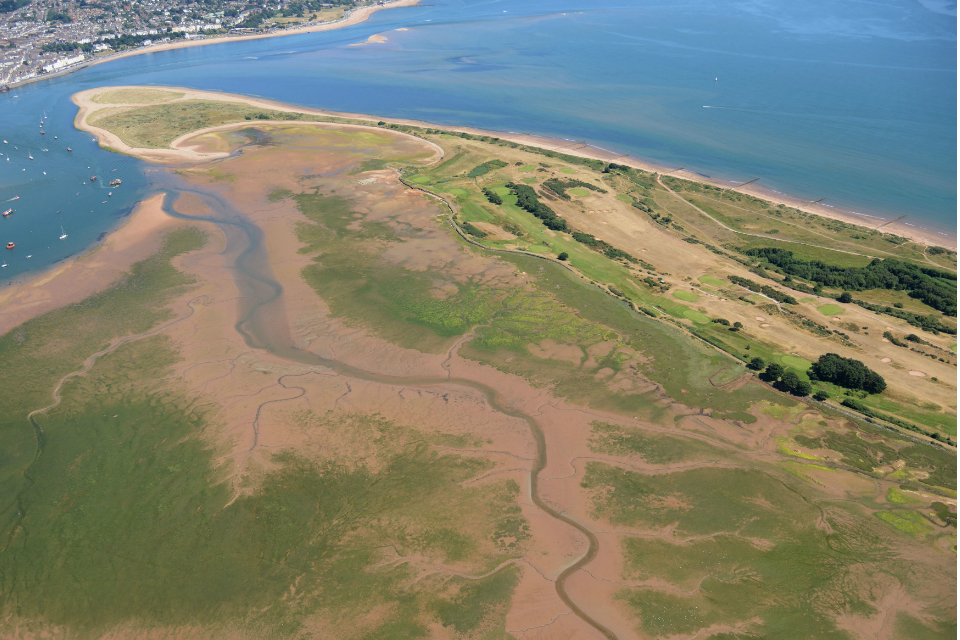 Drop in session ahead of construction phase of Dawlish beach management scheme