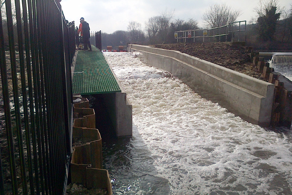 Bringing salmon back to South Yorkshire
