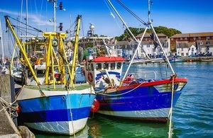 Fishing boats