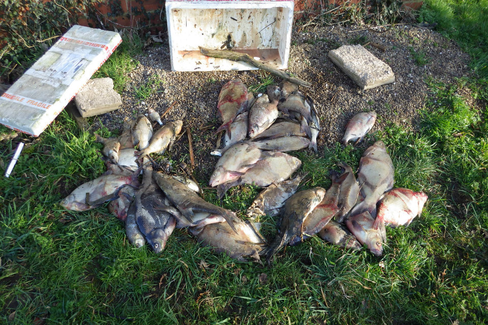 Repeated raw sewage leaks, lead to one of the largest water company fines