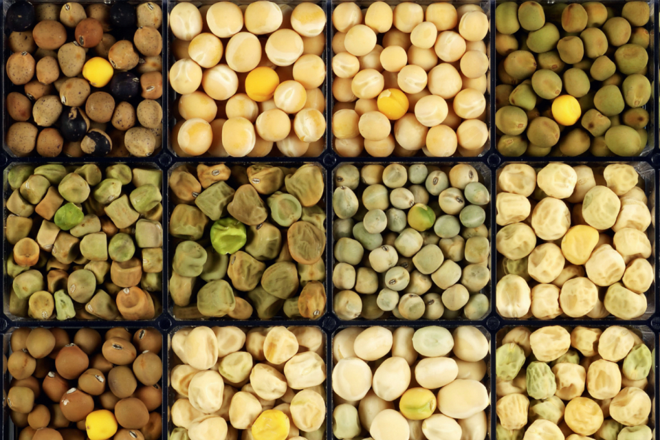 British food companies set to push culinary boundaries