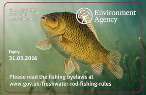 New designs for rod licences 2015/16 crucian carp