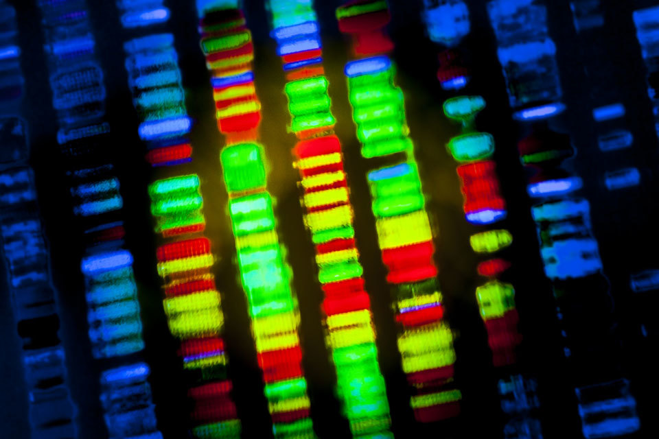 Cell and gene therapies industrial manufacture: apply for funding