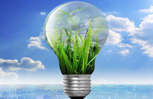 Green shoots lightbulb