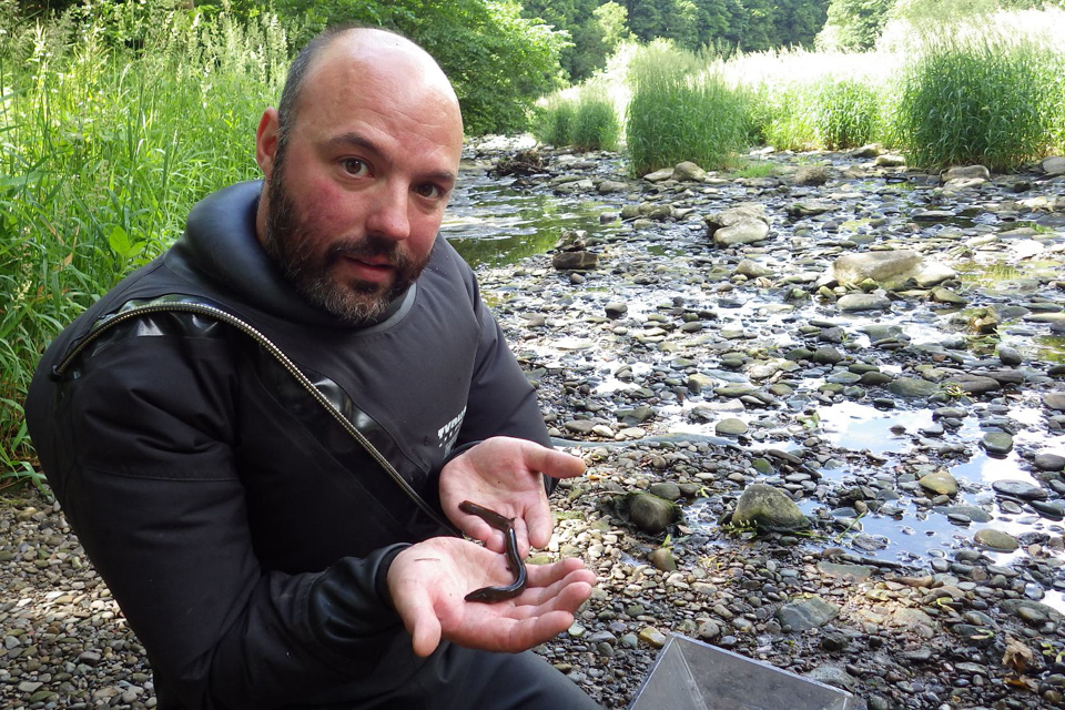 Eel y good information gathered in surveys