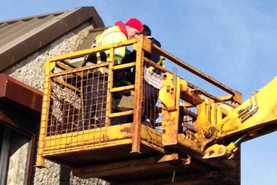 Barn owl conservation in Northern Ireland