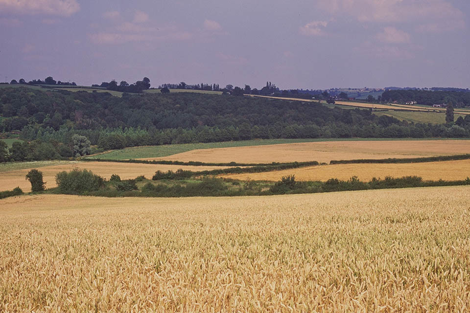 Over 85,500 applications for 2016 BPS submitted by deadline