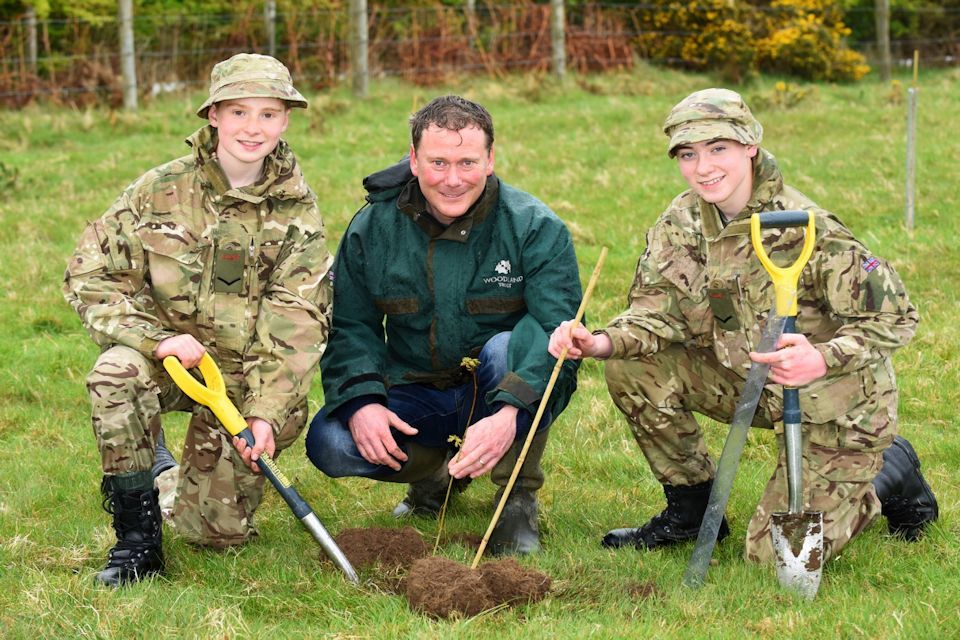 Memorial wood takes shape at Ballykinler Training Centre