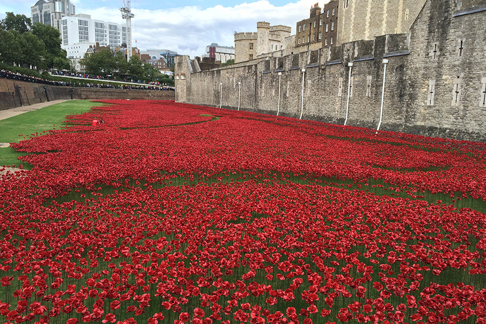 Chancellor to waive £1 million VAT on Tower of London poppies
