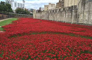 Poppies at Tower of London