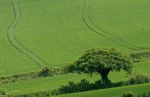 Image of countryside