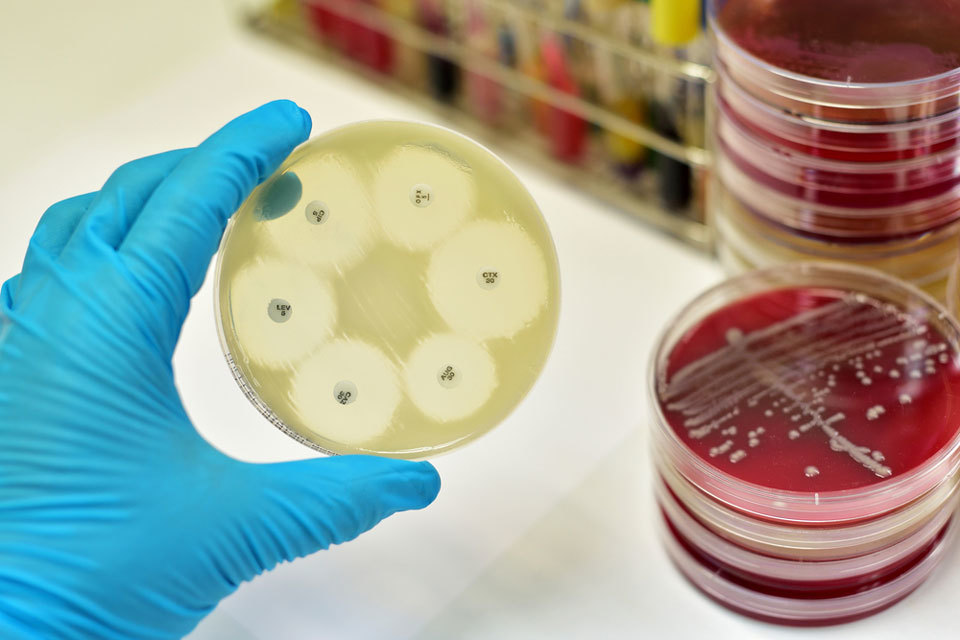 Innovations in health and food: apply for business funding