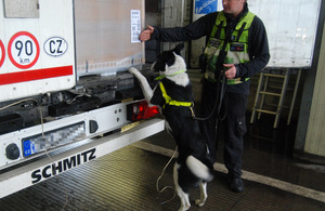 Border Force detection dogs helped discover the stowaways
