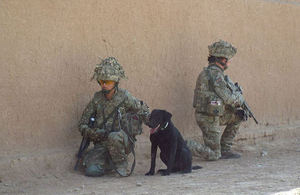 Military Working Dog and handler from 1st Military Working Dog Regiment