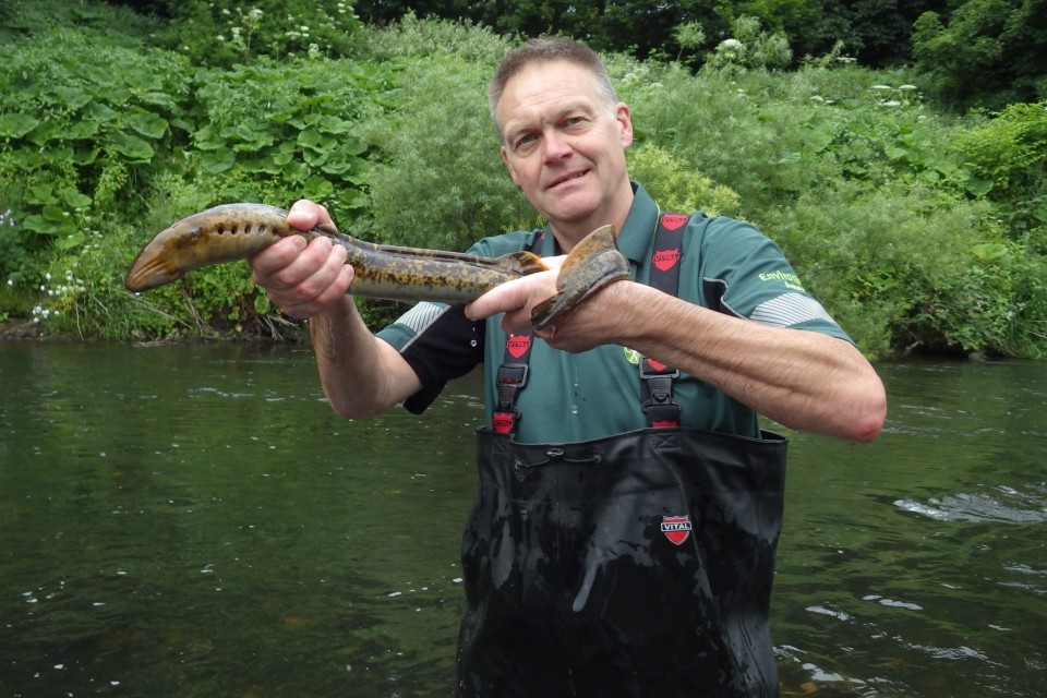 Primitive fish return to Yorkshire and the North East