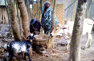 Amina poses with her livestock.