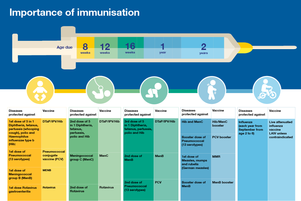 Infographic showing the importance of childhood immunisation.