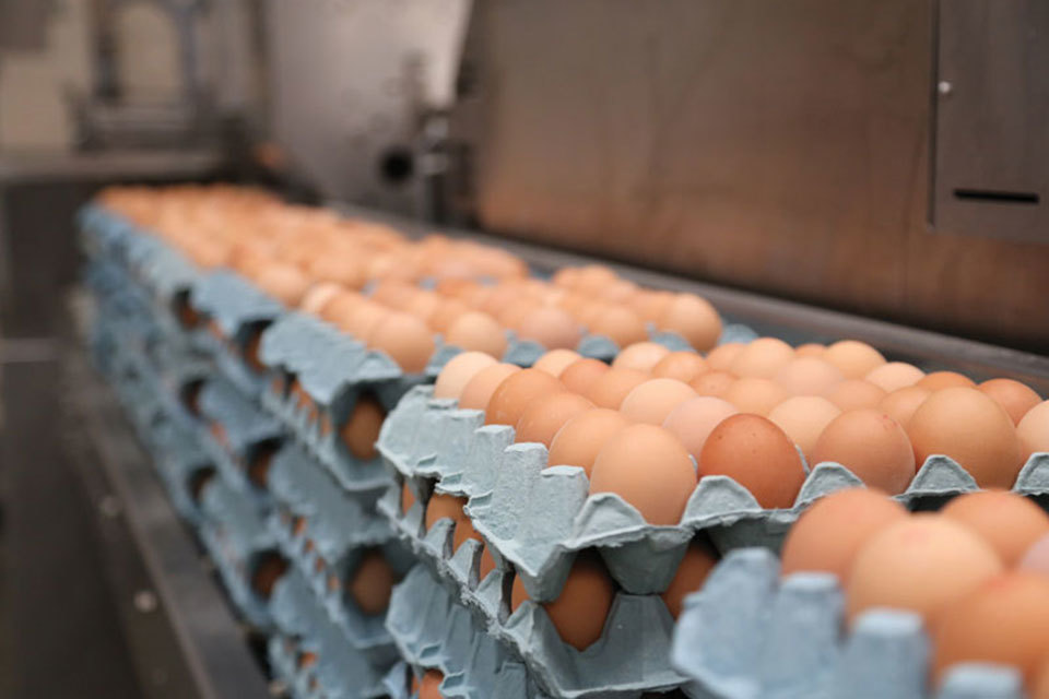 London egg packer and wholesaler found guilty of egg marketing fraud