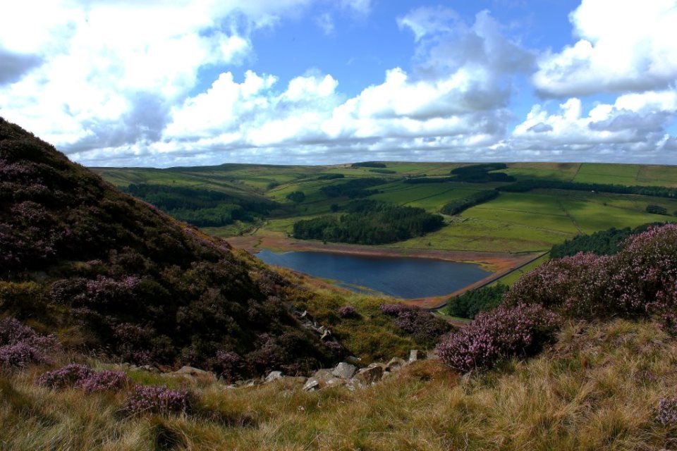 West Pennine Moors becomes largest protected wildlife site in a decade
