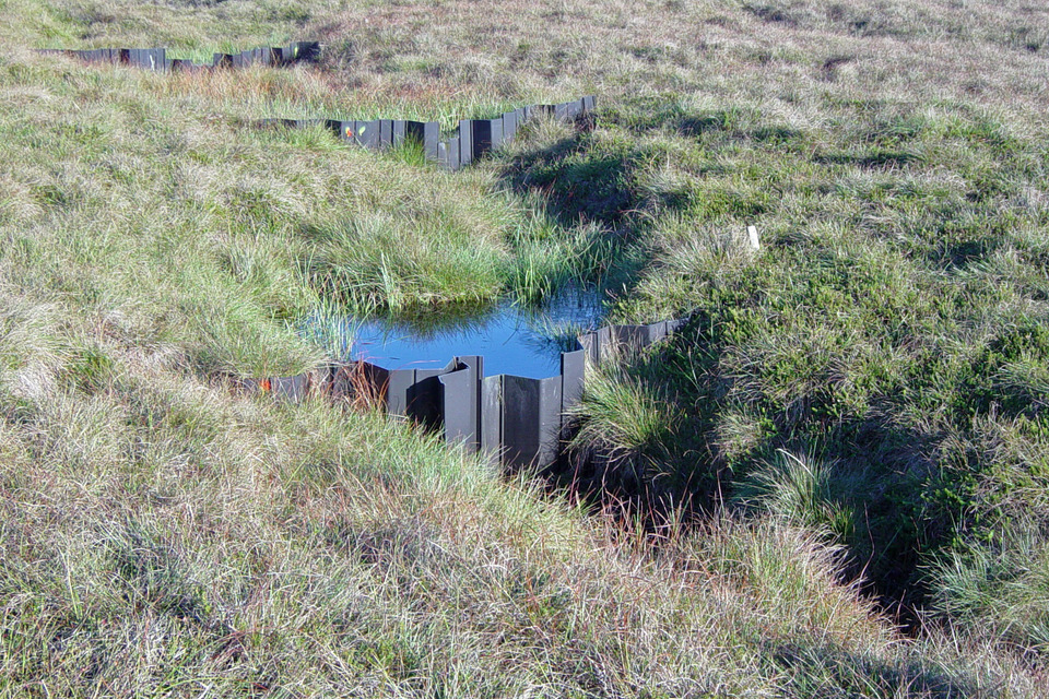 £10m fund to restore peatland opens for applications