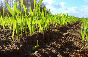 Organisations can apply for a share of up to £800,000 to develop an affordable solar-powered irrigation pump for use in developing regions.