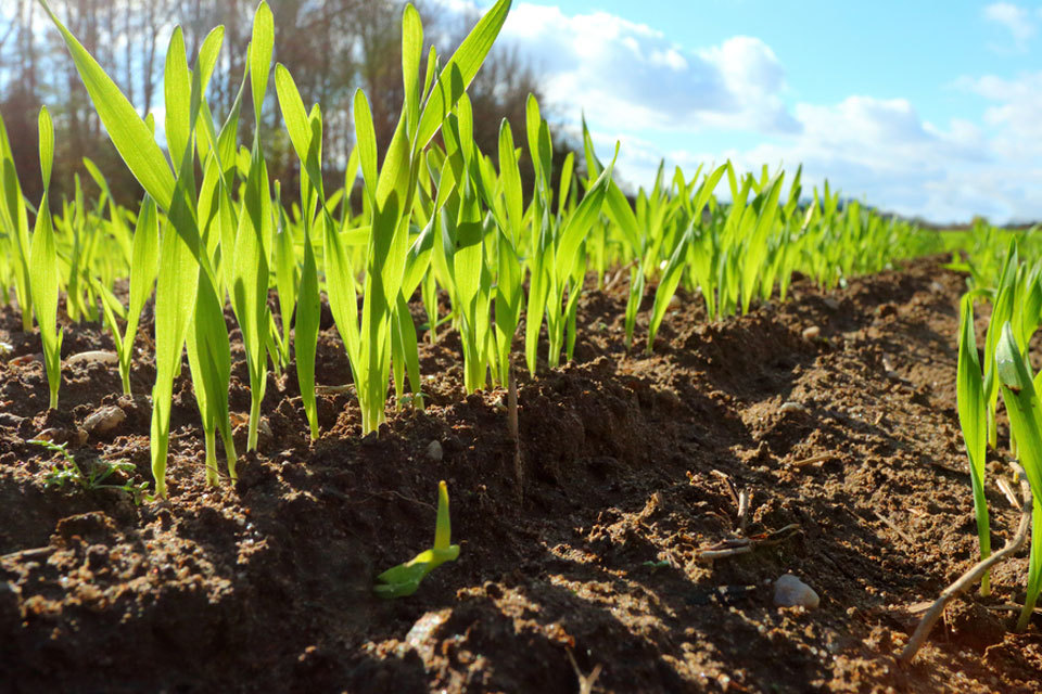 Innovation in solar powered irrigation: apply now for funding