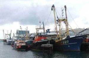 Fishing boats