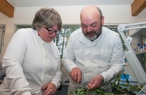 Minister Coffey at Forest Research