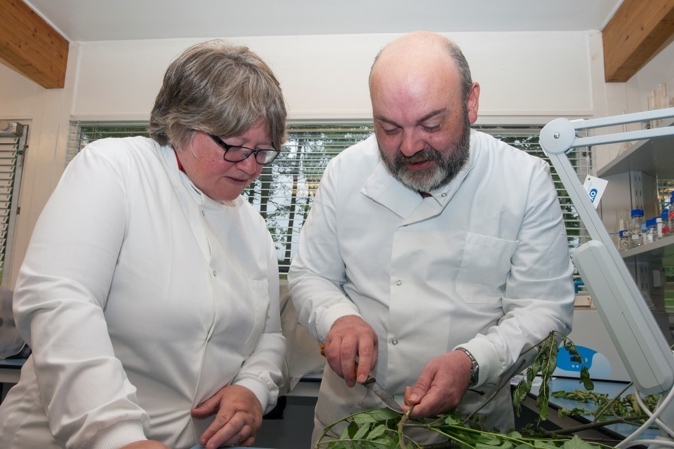 Minister celebrates world class forest research