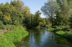 The River Itchen