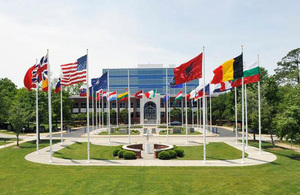 Flags of NATO countries [Picture: Crown copyright]