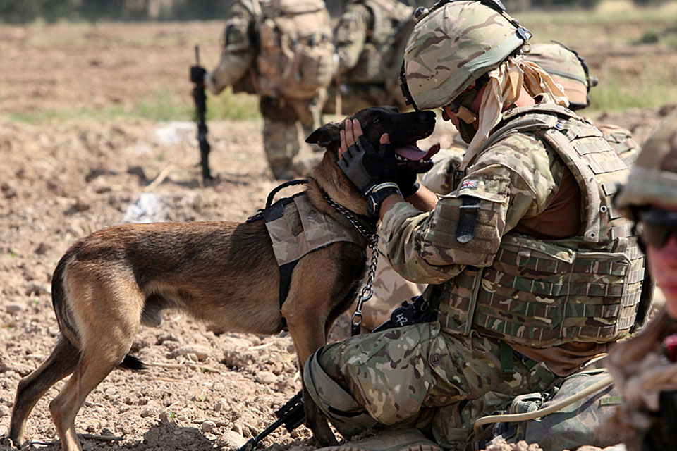 Lance Corporal Tom Welstand from 103 Military Working Dog Support Unit shares a moment with his search dog, Steegan 
