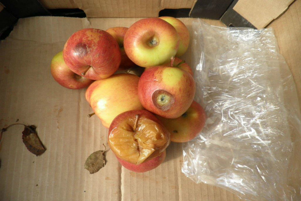 Newcastle fresh produce retailer fined after failing to meet marketing standards