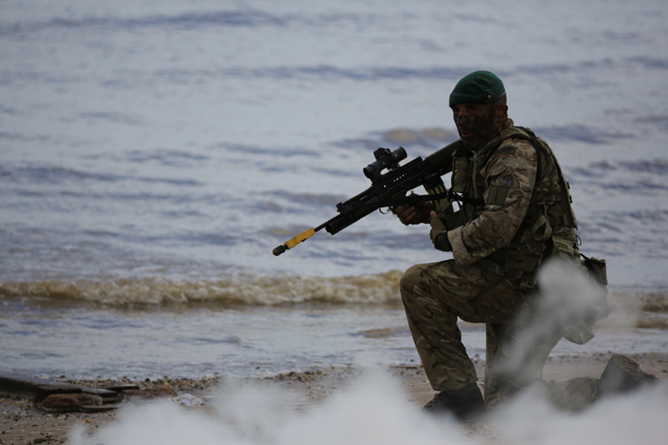 The Royal Marines amphibious display in action