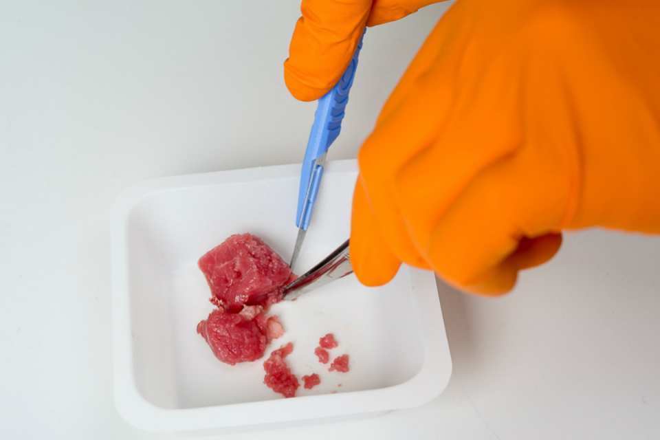 Government Chemist supports food authenticity testing