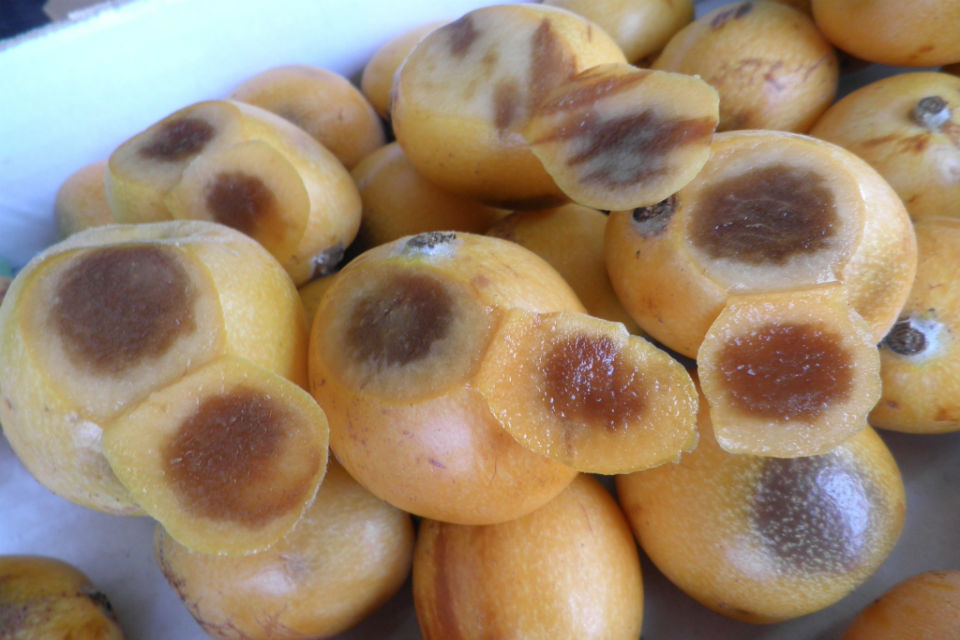 Yorkshire fresh produce retailer fined after failing to meet marketing standards