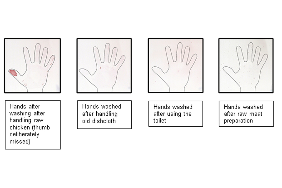 How the bacteria and viruses are removed with handwashing