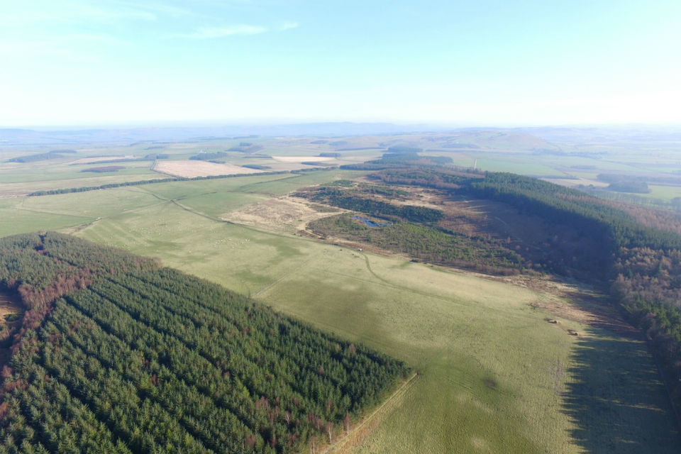 England's largest woodland planting scheme gets green light