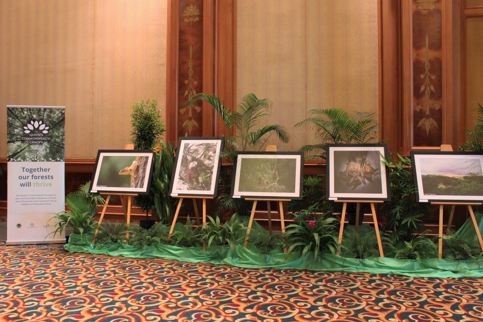 A selection of photographs of Brunei's dedications to the QCC
