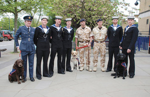 EJ with fellow assistance dogs and Service personnel