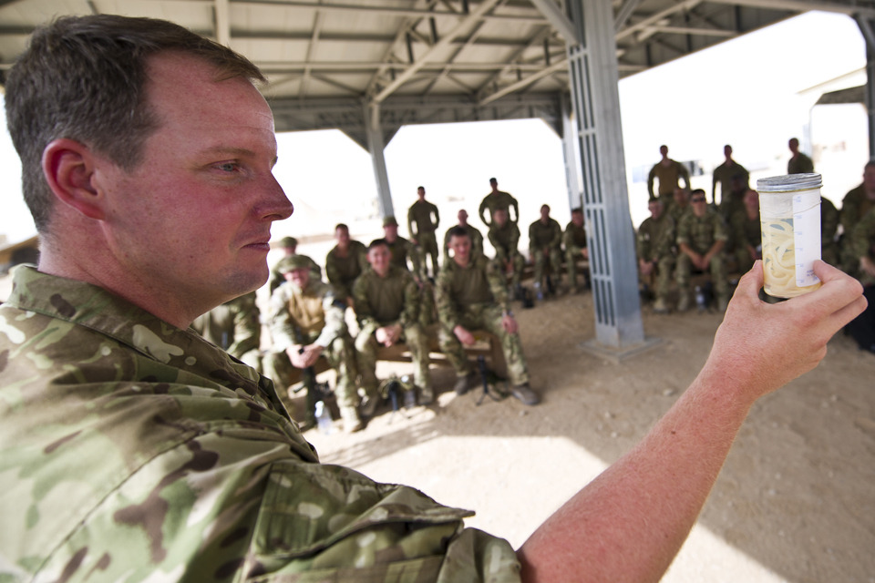 Keeping Service personnel healthy in Afghanistan