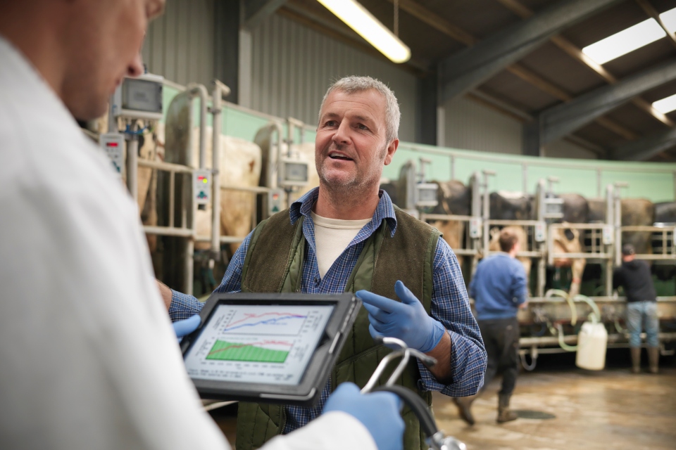 Farmer and vet talking in milking parlor